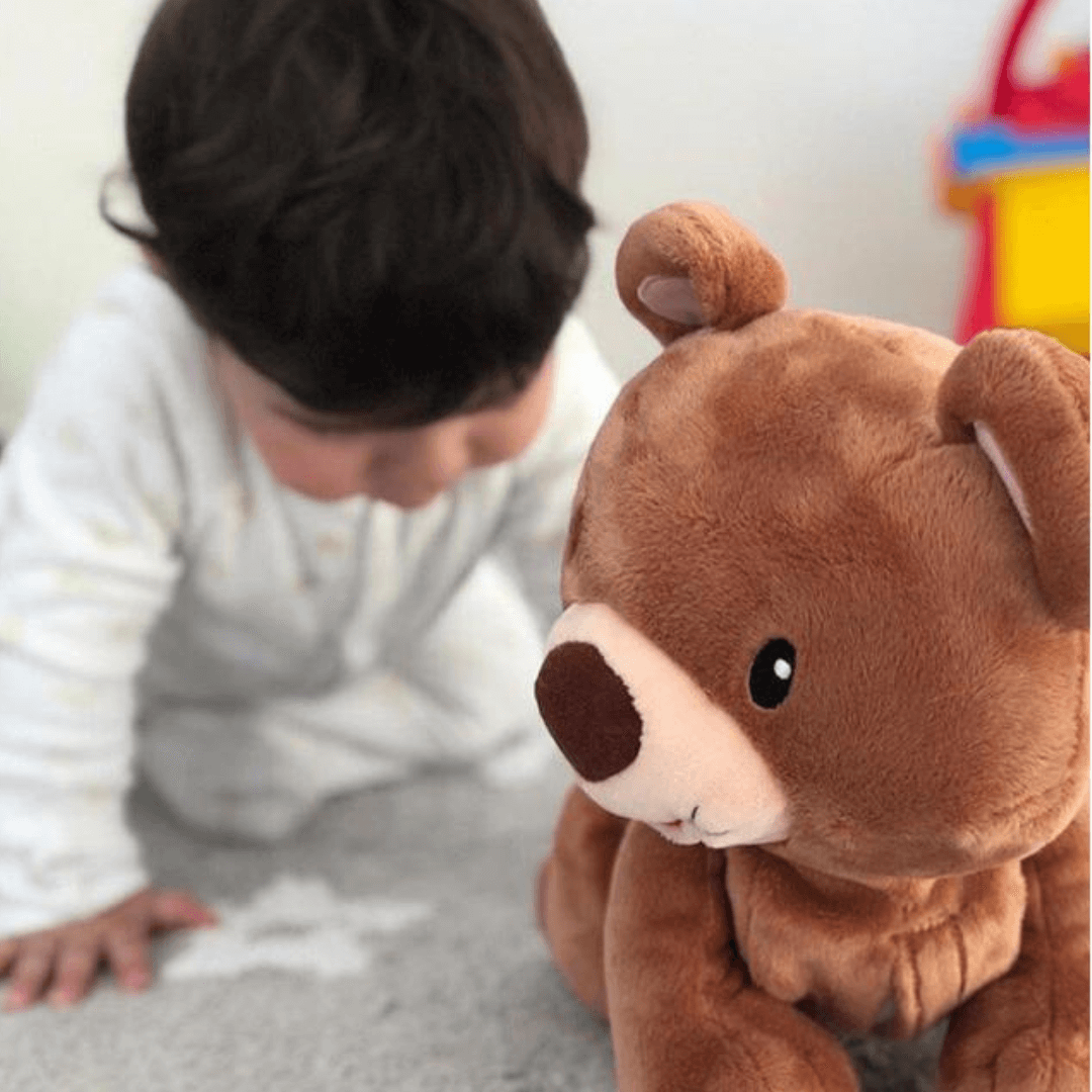 Ursinho Encantado – O Companheiro Perfeito para o Seu Bebê Engatinhar